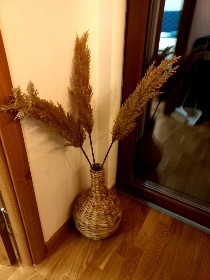 Zlatibor Apartman Luxury & Spa Dijana Eksteriør bilde