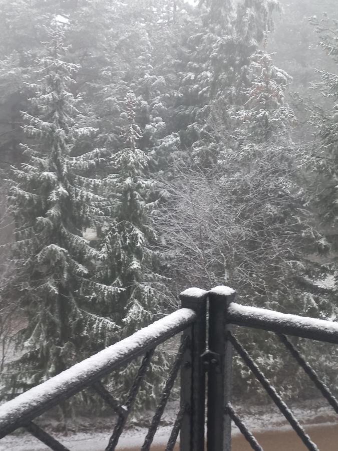 Zlatibor Apartman Luxury & Spa Dijana Eksteriør bilde