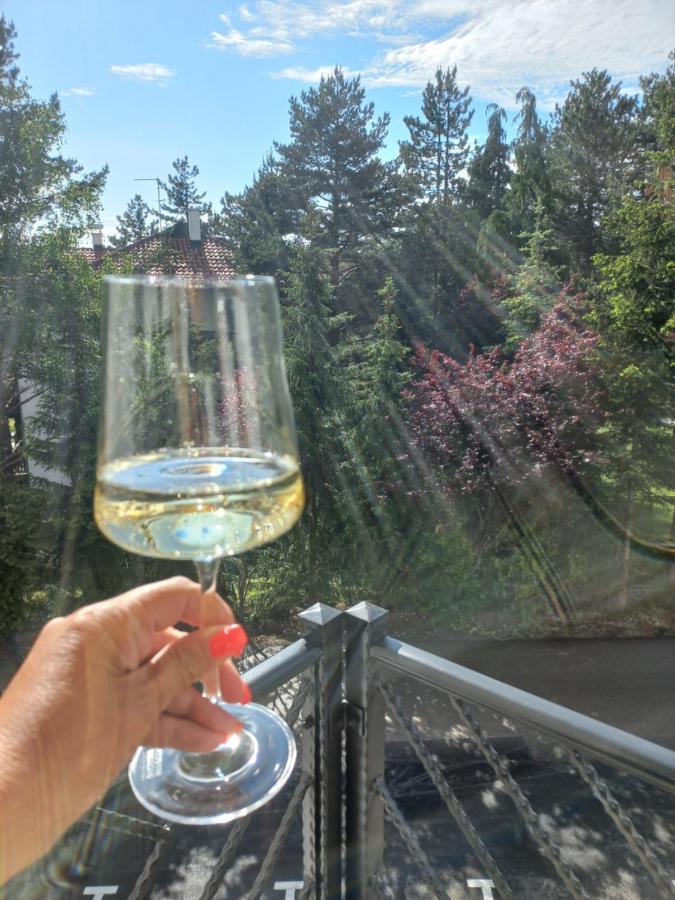 Zlatibor Apartman Luxury & Spa Dijana Eksteriør bilde