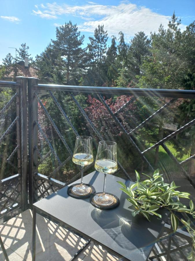 Zlatibor Apartman Luxury & Spa Dijana Eksteriør bilde